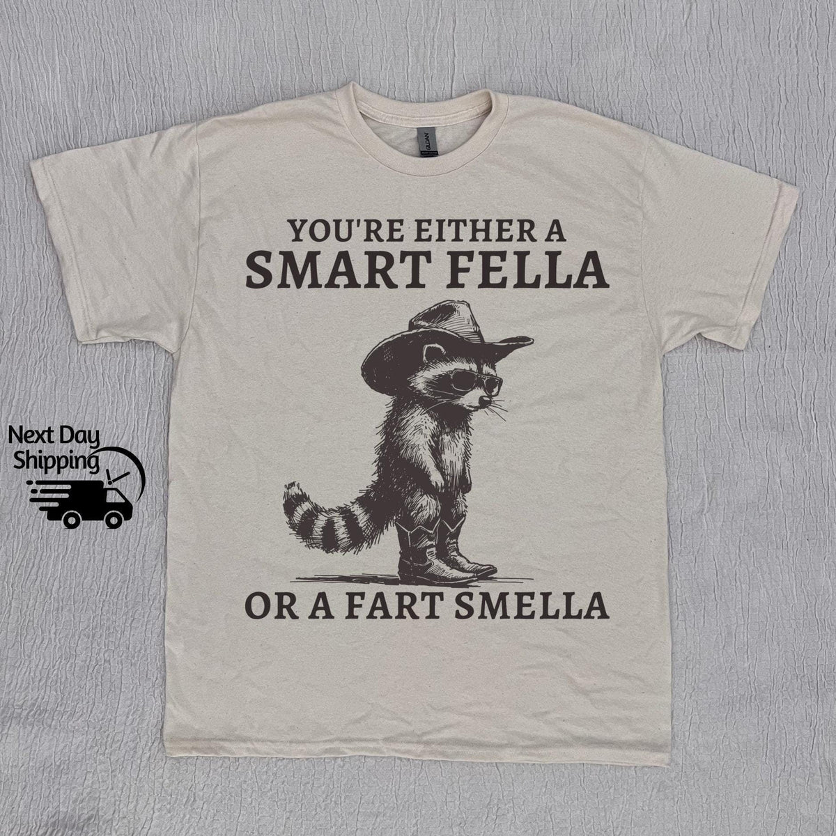 Retro Smart Fella Raccoon 90s Raccoon Vintage Vintage 90s Washed Vintage Distressed
