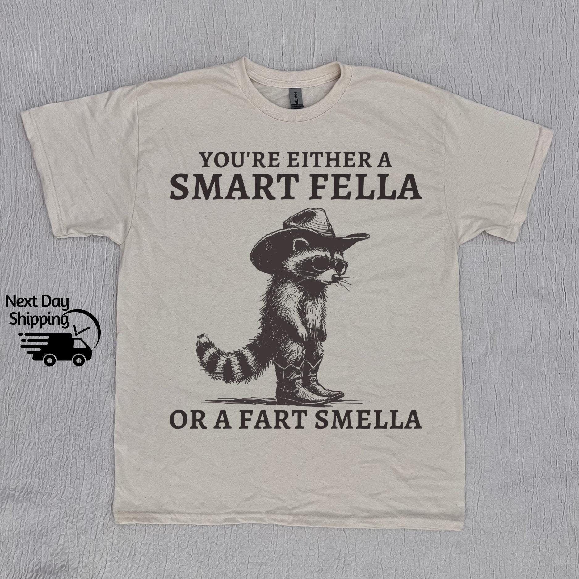 Retro Smart Fella Raccoon 90s Raccoon Vintage Vintage 90s Washed Vintage Distressed