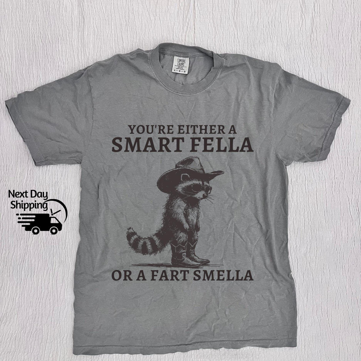 Retro Smart Fella Raccoon 90s Raccoon Vintage Vintage 90s Washed Vintage Distressed