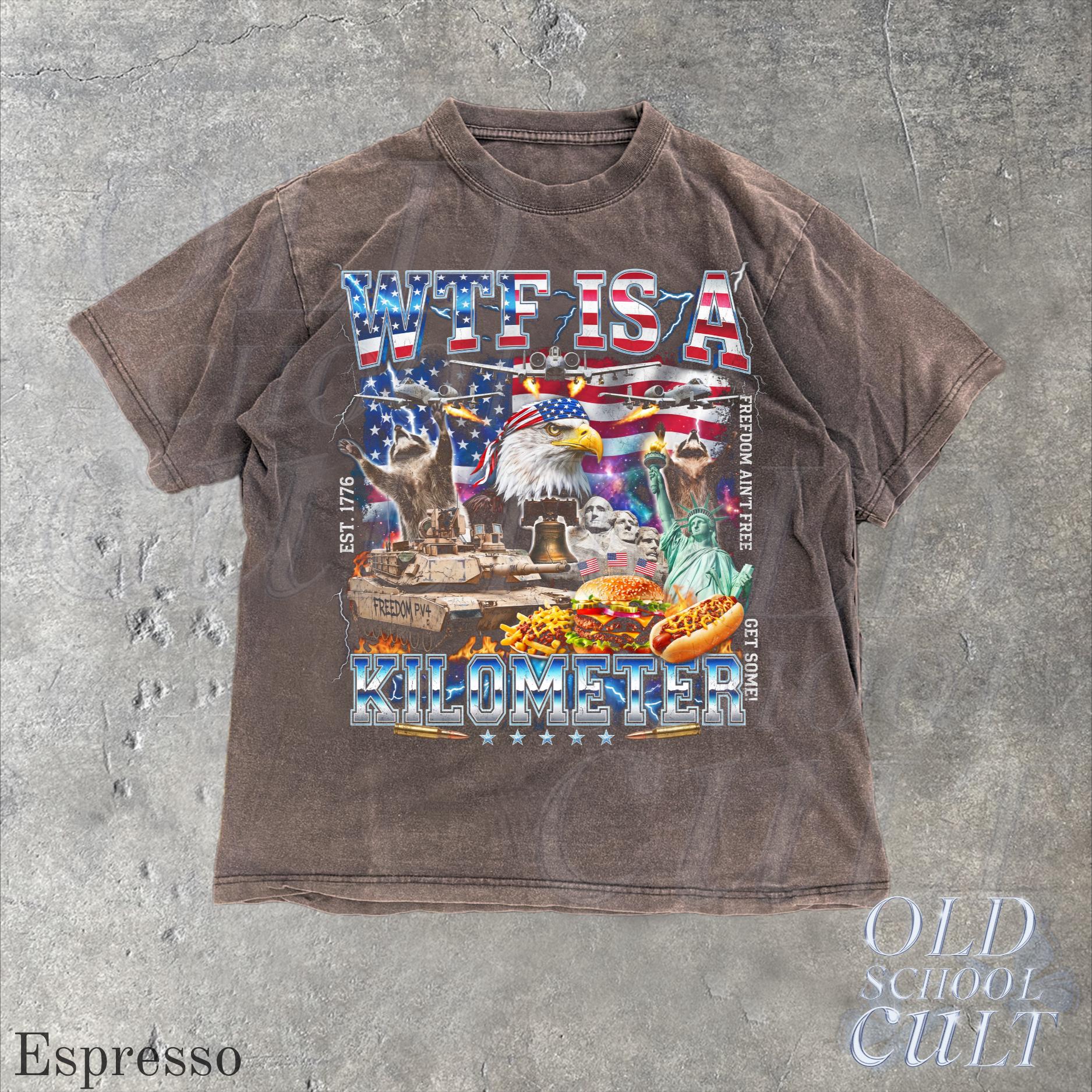 Wtf Kilometer Usa Patriotic Vintage American Eagle Meme 4th July Retro Freedom