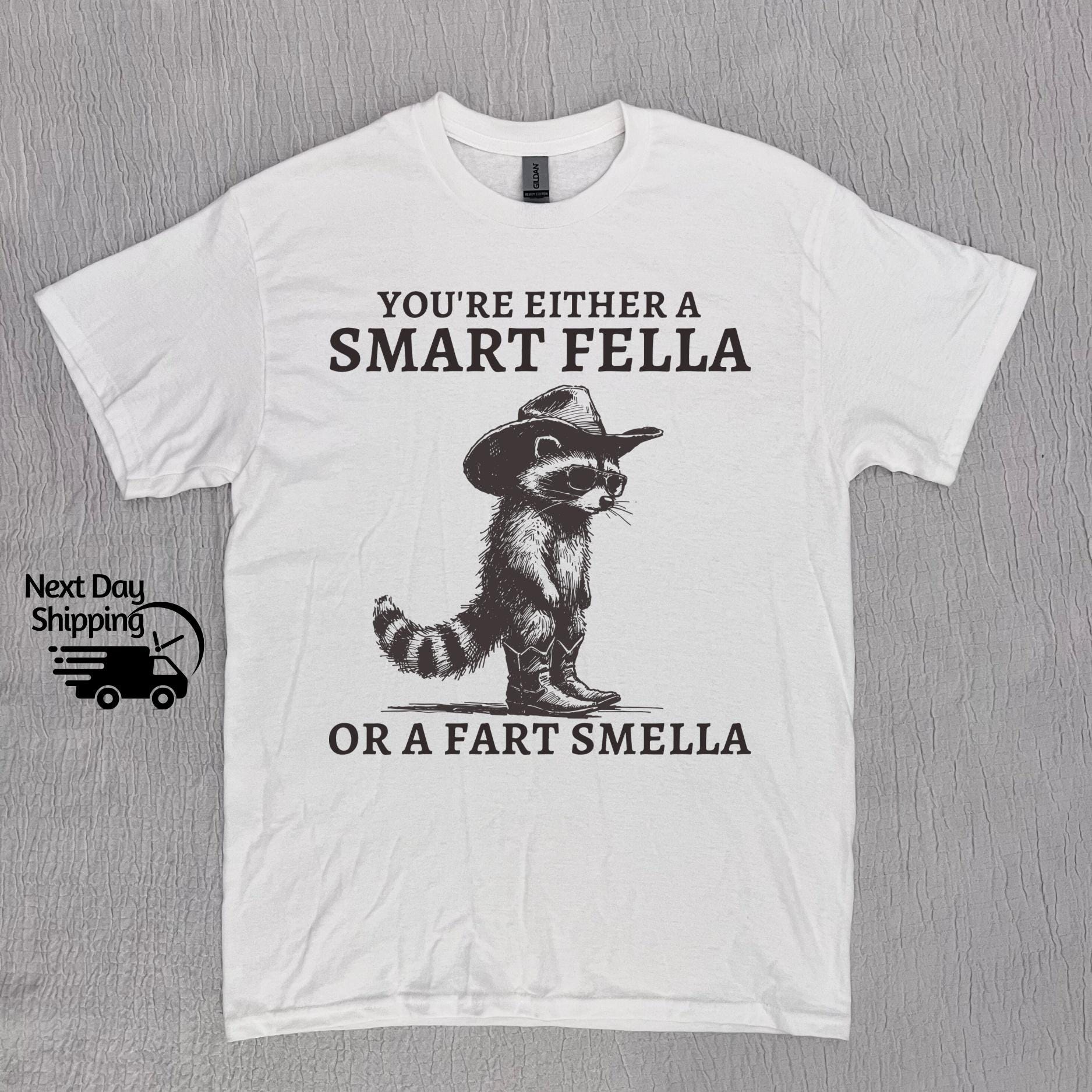 Retro Smart Fella Raccoon 90s Raccoon Vintage Vintage 90s Washed Vintage Distressed