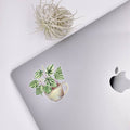 Watermelon Peperomia Sticker - House Plant Stickers Unisex , , , Long Sleeve Tee