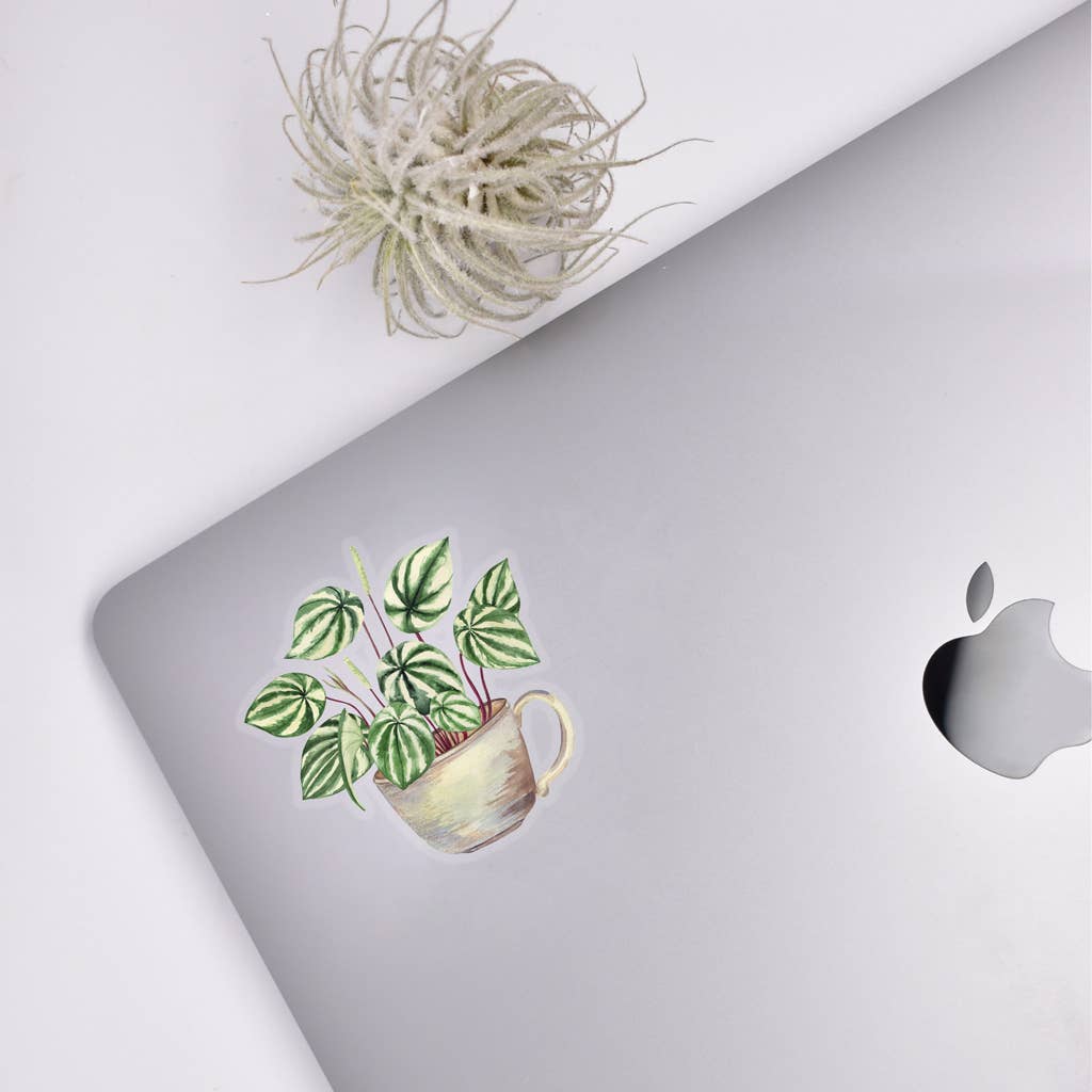 Watermelon Peperomia Sticker - House Plant Stickers Unisex , , , Long Sleeve Tee