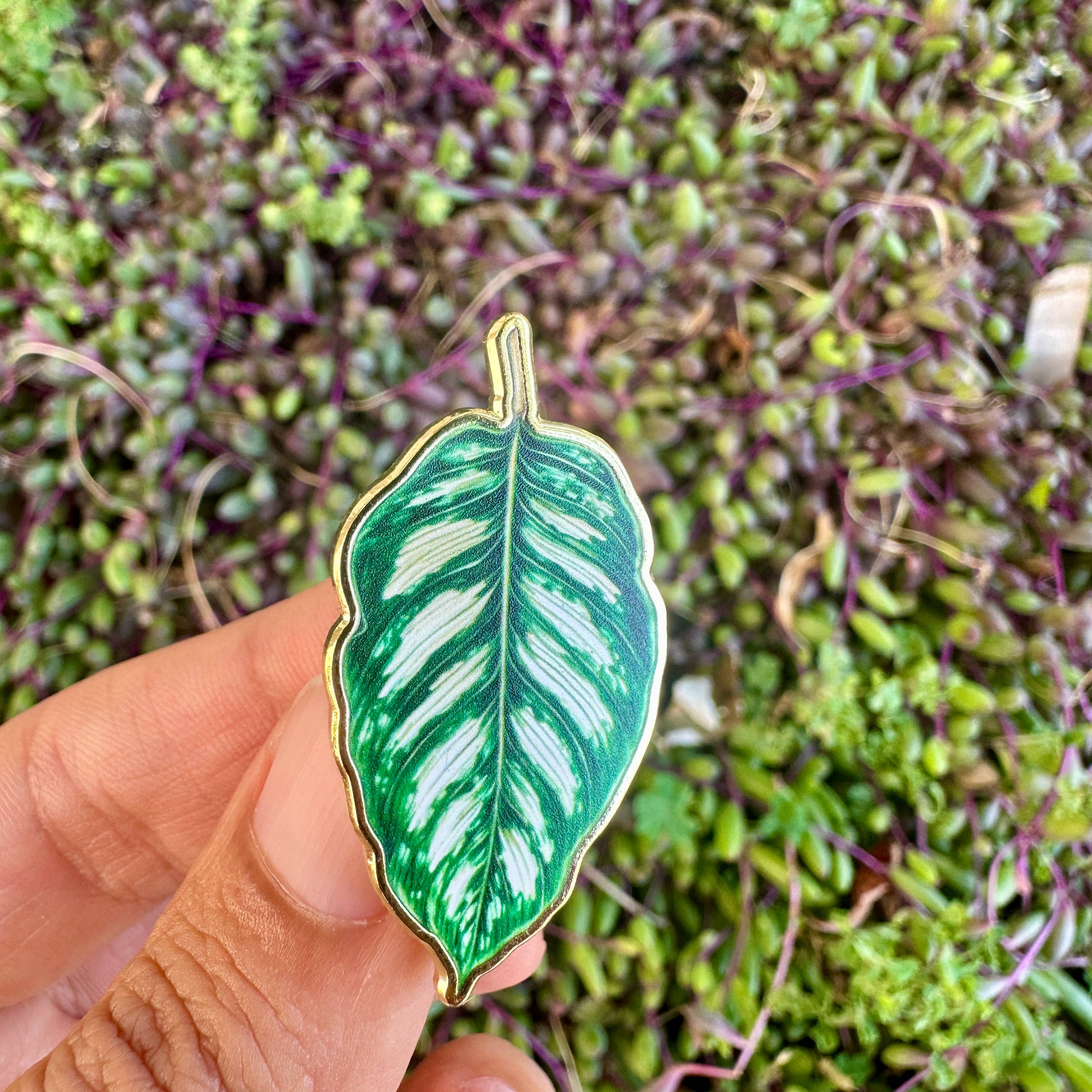 Calathea Plant Enamel Pin - New Version Unisex , , , Long Sleeve Tee