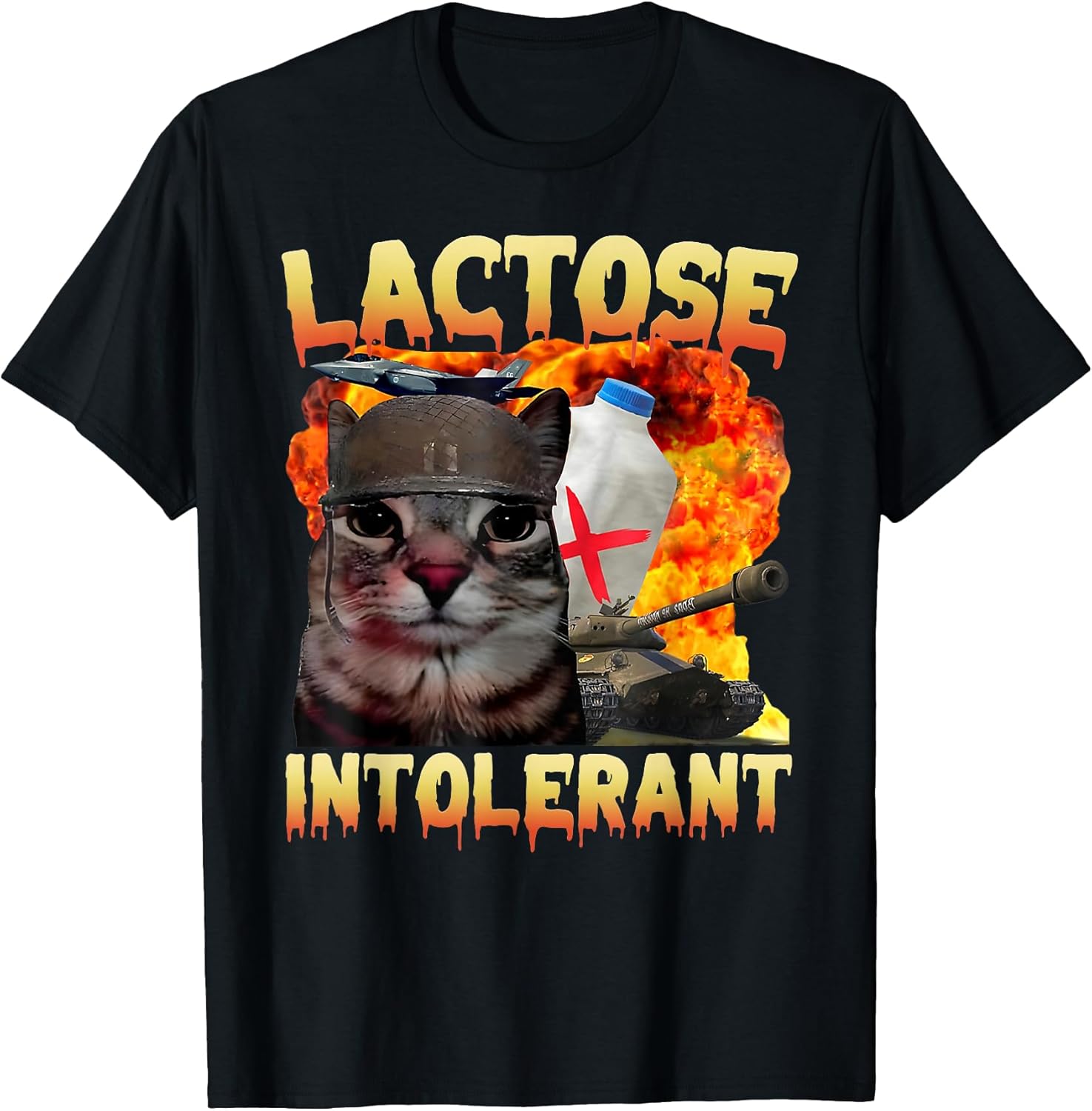Lactose Intolerant Silly Cat Meme Funny Saying Cat Lover Unisex , , , Long Sleeve Tee