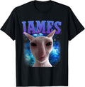 James The Cat Meme Funny Silly Cats Brainrot Meme Cat Lover Unisex , , , Long Sleeve Tee
