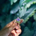 Nightshade Flower Enamel Pin Deadly Poisons Flower Unisex , , , Long Sleeve Tee
