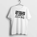 Controlling My Temper At Work Is A Job In Itself Text Tshirts Sweater