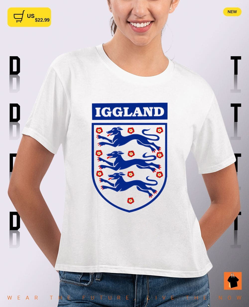 Iggland England Soccer Three Lions World Cup 2026 parody shirt