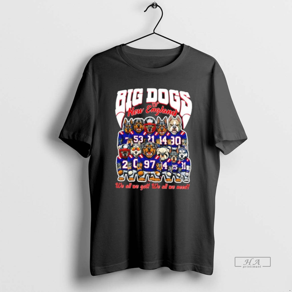 Official Big Dogs Of New England We All We Got We All We Need