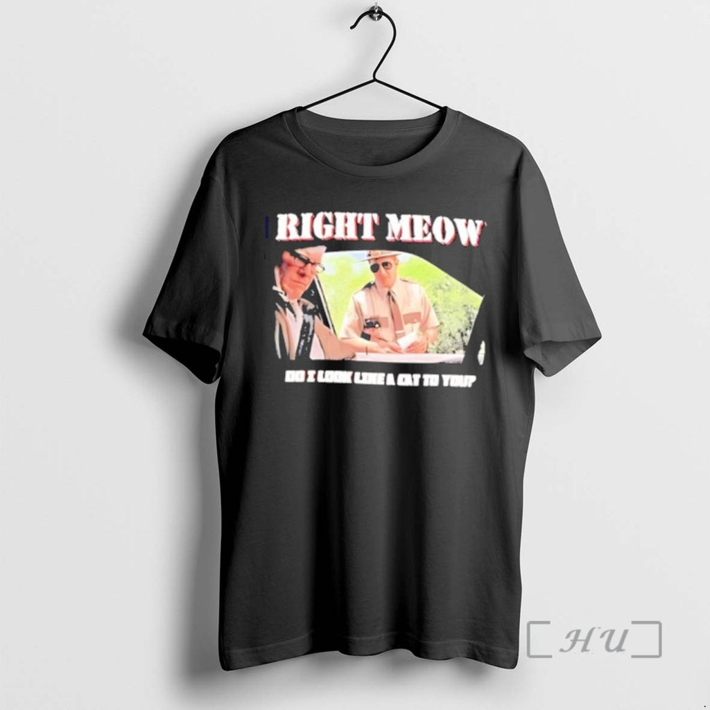 Officials Broken Lizard Right Meow Do I Look Like Cat To You Premium T Shirts
