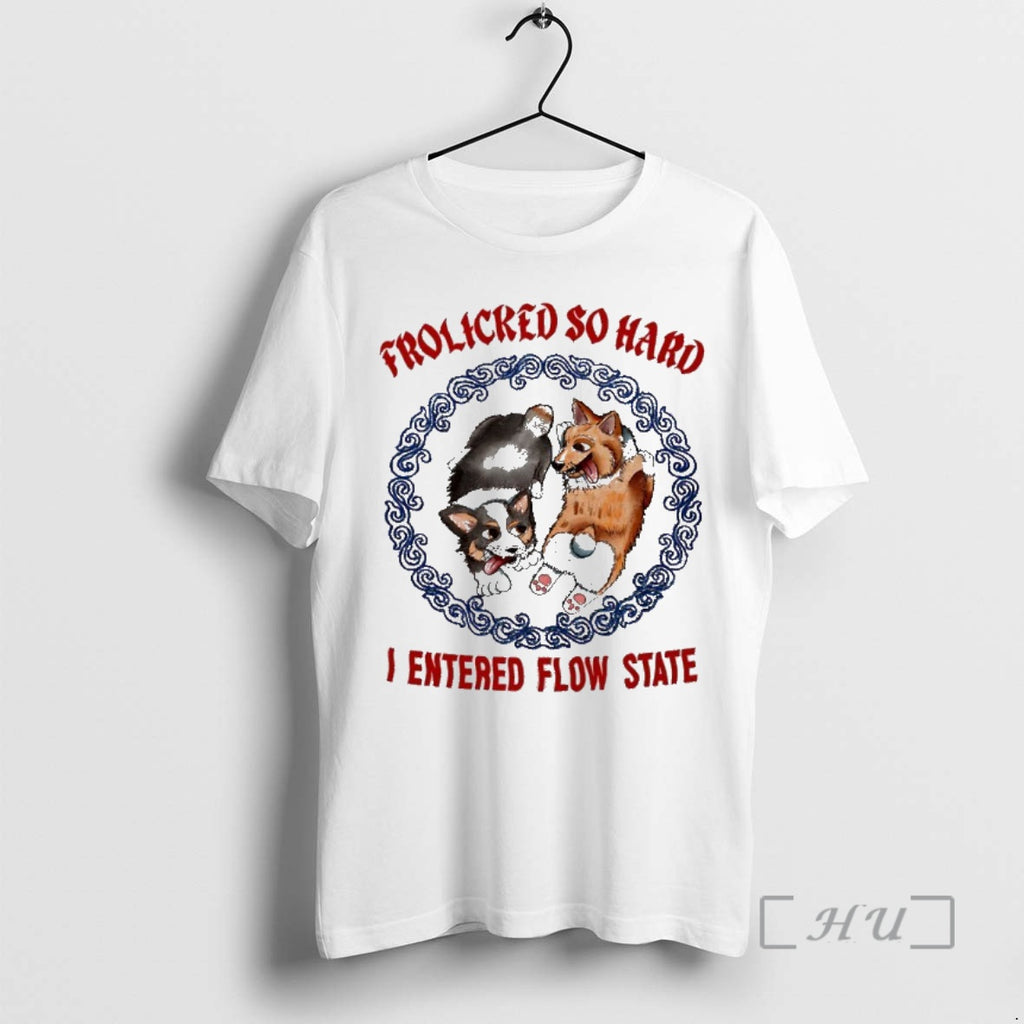 Officials Corgi Frolicred So Hard I Entered Flow State