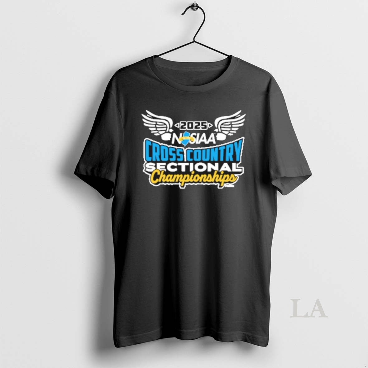 Original 2025 Njsiaa Cross Country Sectional Championships