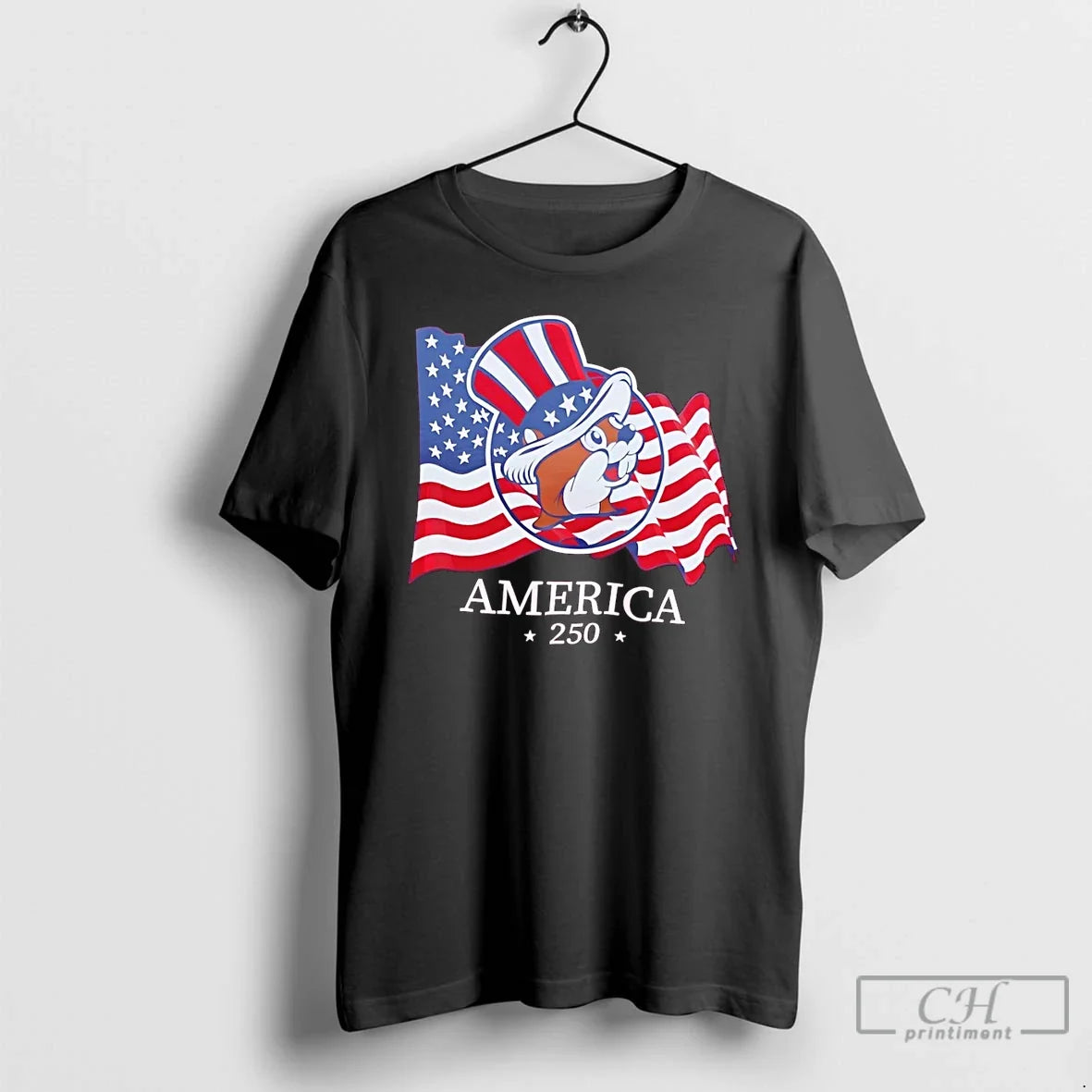 Premium Buc Ees America 250th Patriotic Usa Freedom 4th Of July Unisex , , , Long Sleeve Tee