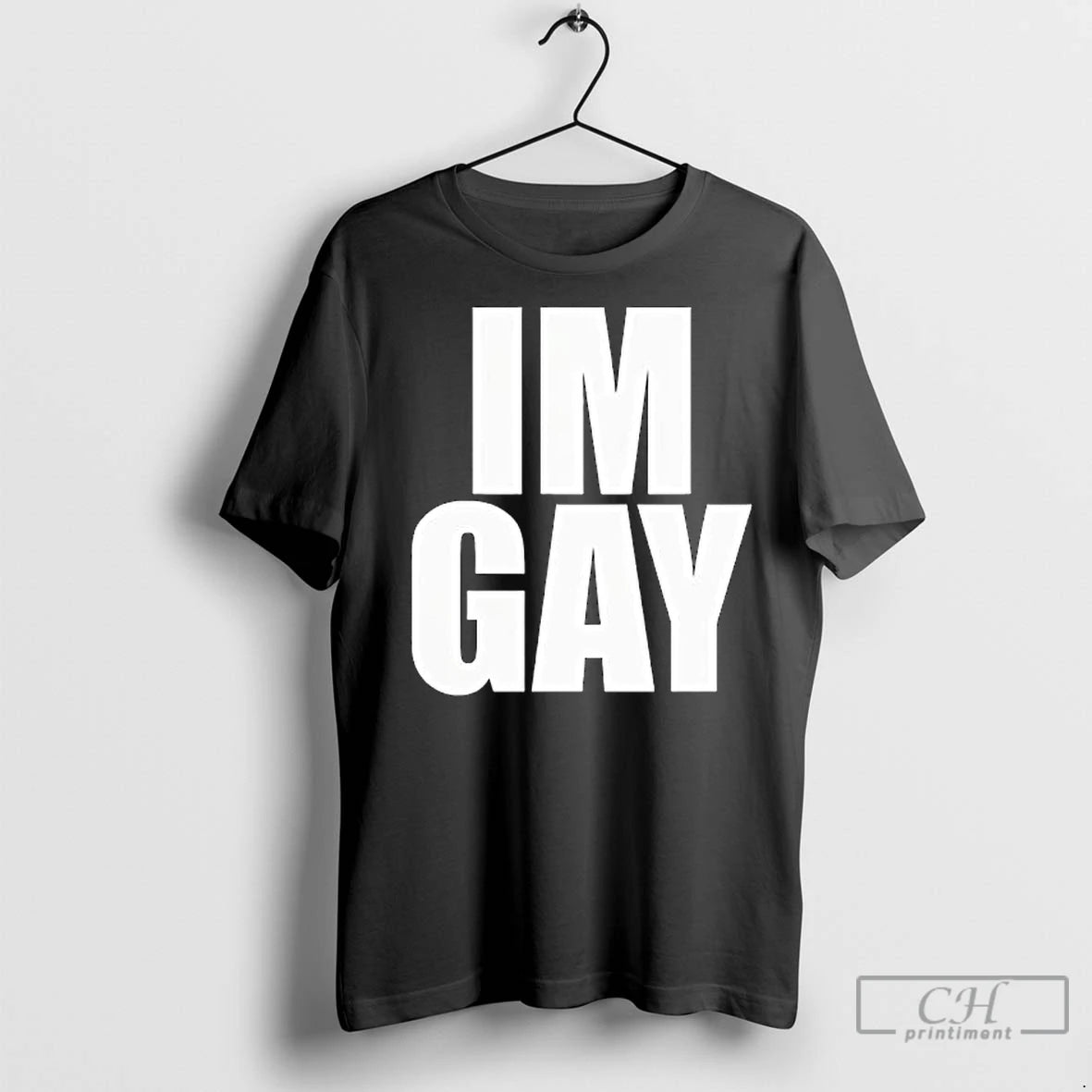 Premium Im Gay Lyrics Song By Todrick Hall
