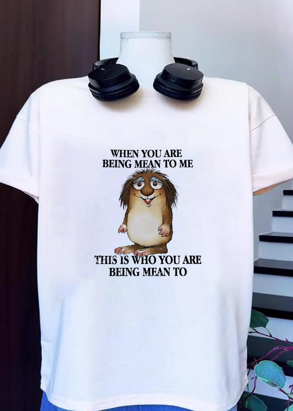 When You Are Being Mean to Me This Is Who You Are Being Mean to Shirt