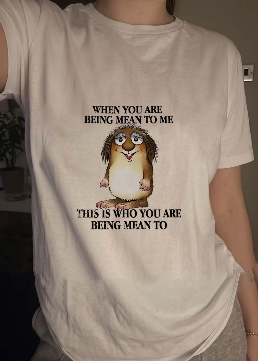 When You Are Being Mean to Me This Is Who You Are Being Mean to Shirt