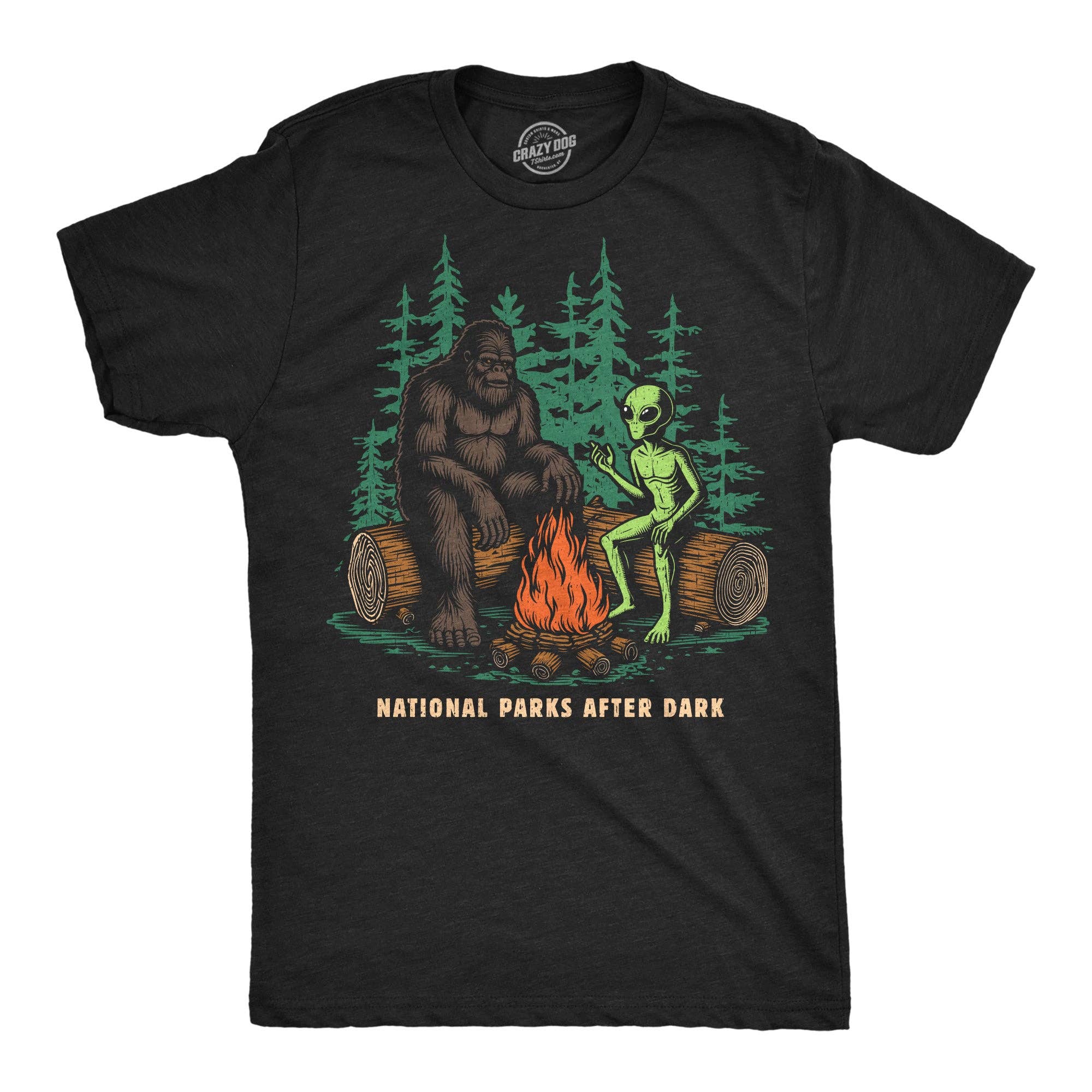 National Parks After Dark Men's T Shirt Unisex , , , Long Sleeve Tee
