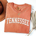 Tennessee, Football, Game Day Tailgate Party State Tshirt Unisex , , , Long Sleeve Tee