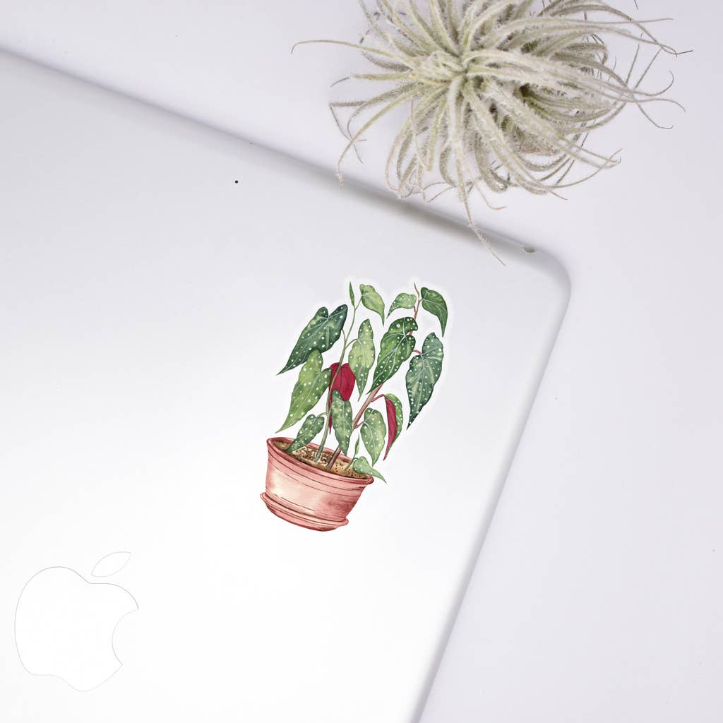 Begonia Sticker - House Plant Stickers Unisex , , , Long Sleeve Tee