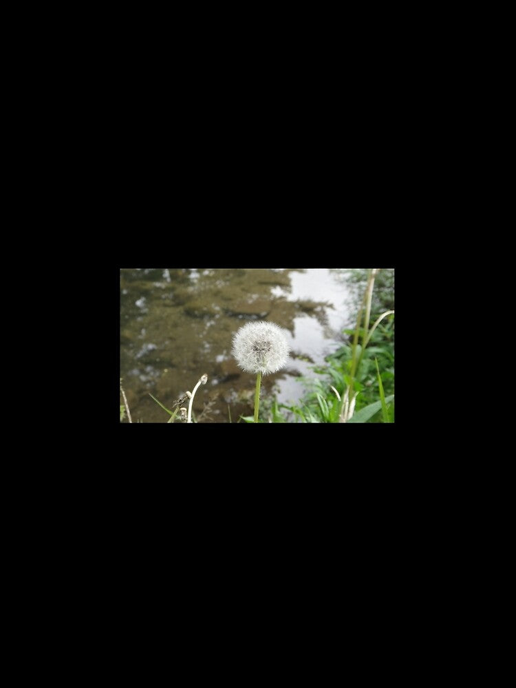 Dandelion Puff by JR Designes Unisex , , , Long Sleeve Tee