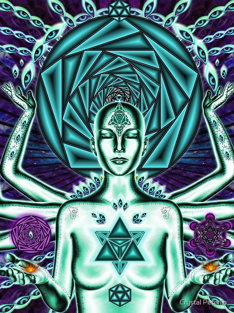 The Seeker by Crystal Peterlin