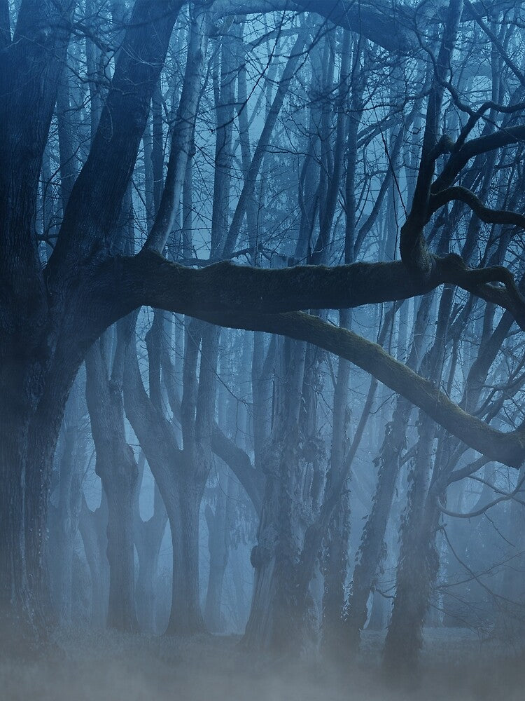 Fantasy by RedVico