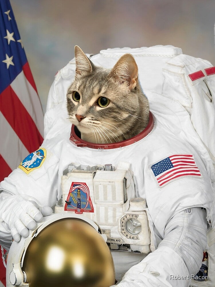 Astronaut Cat (Petstronaut) by Robert Bacon