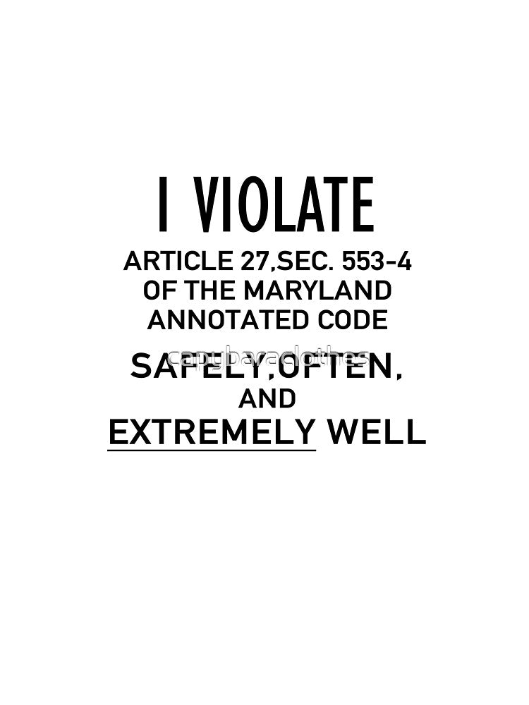 I Violate Article 27, Sec. 553-4 of the Maryland Annotated Code Gay Pride Shirt by Capybara Clothing