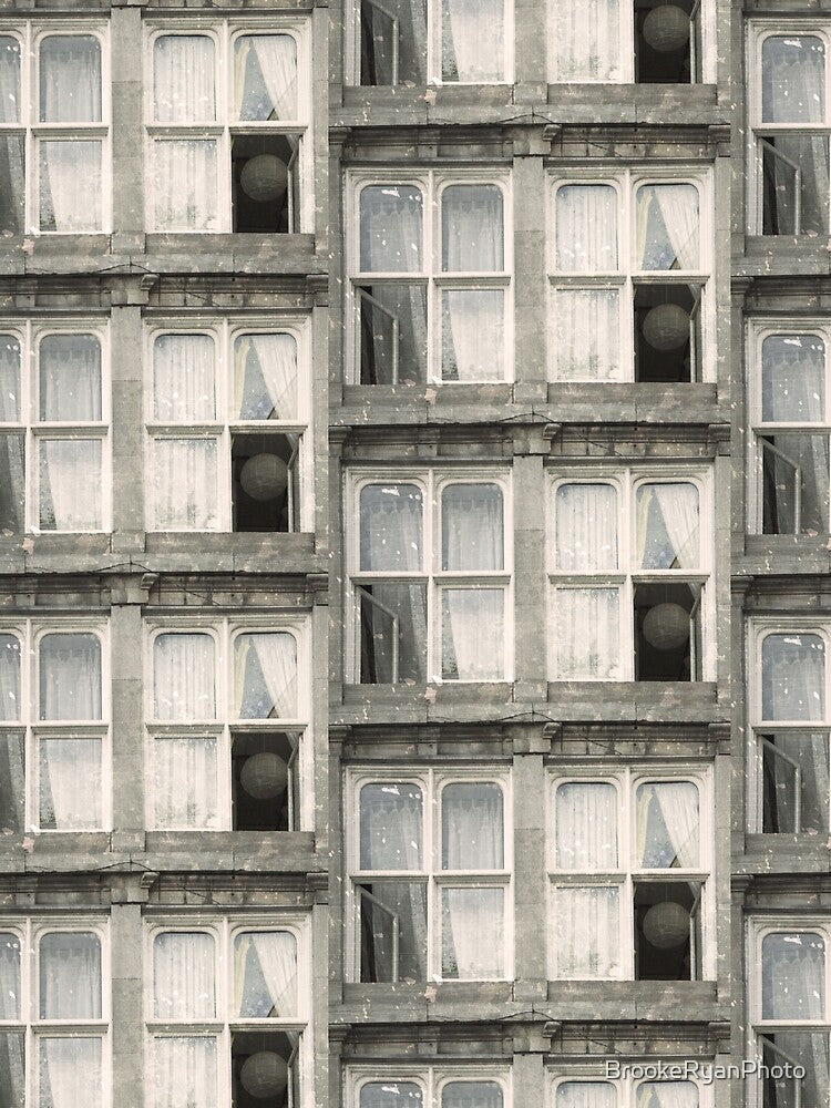 Looking In by Brooke T Ryan Photographic Art