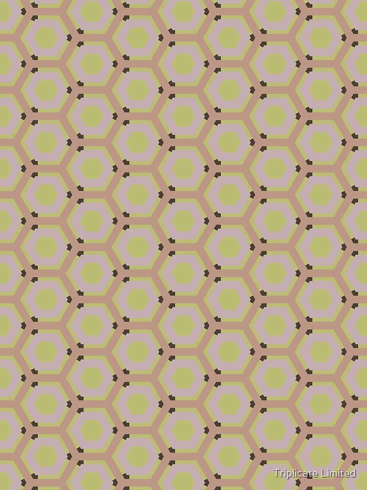 Geometric Warm Neutrals Colorful Honeycomb Hexagons by Triplicate Limited