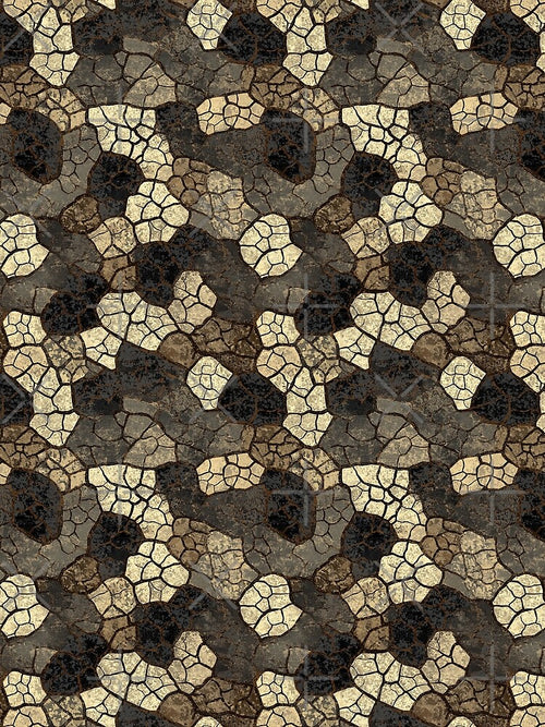 Abstract cracked earth pattern in neutral earthy colors. by Piotrek0001