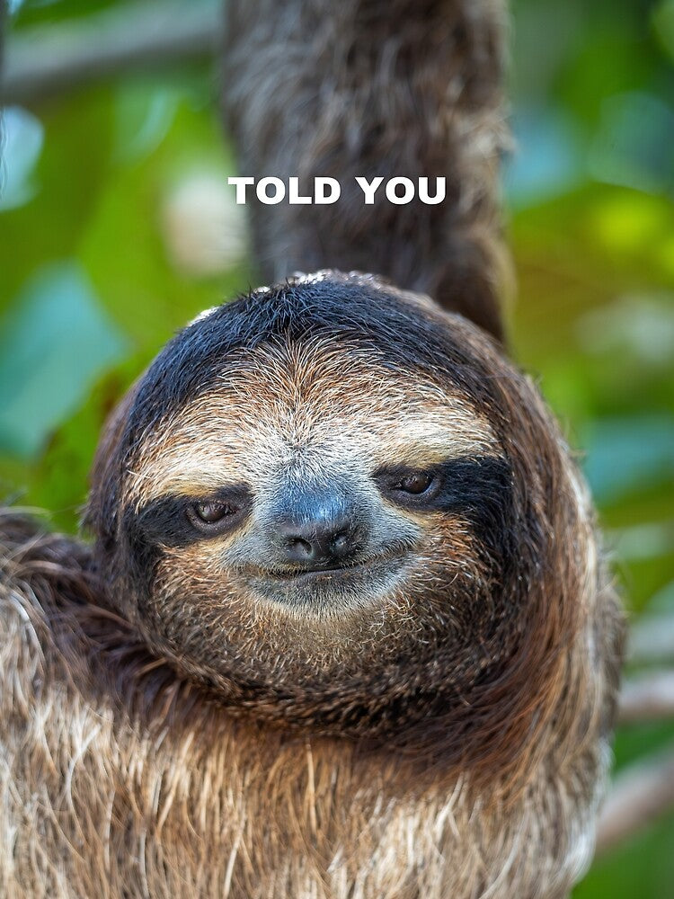 Told You Sloth Meme – Funny Sarcastic Relatable Animal Humor by WildFrameNature Unisex , , , Long Sleeve Tee