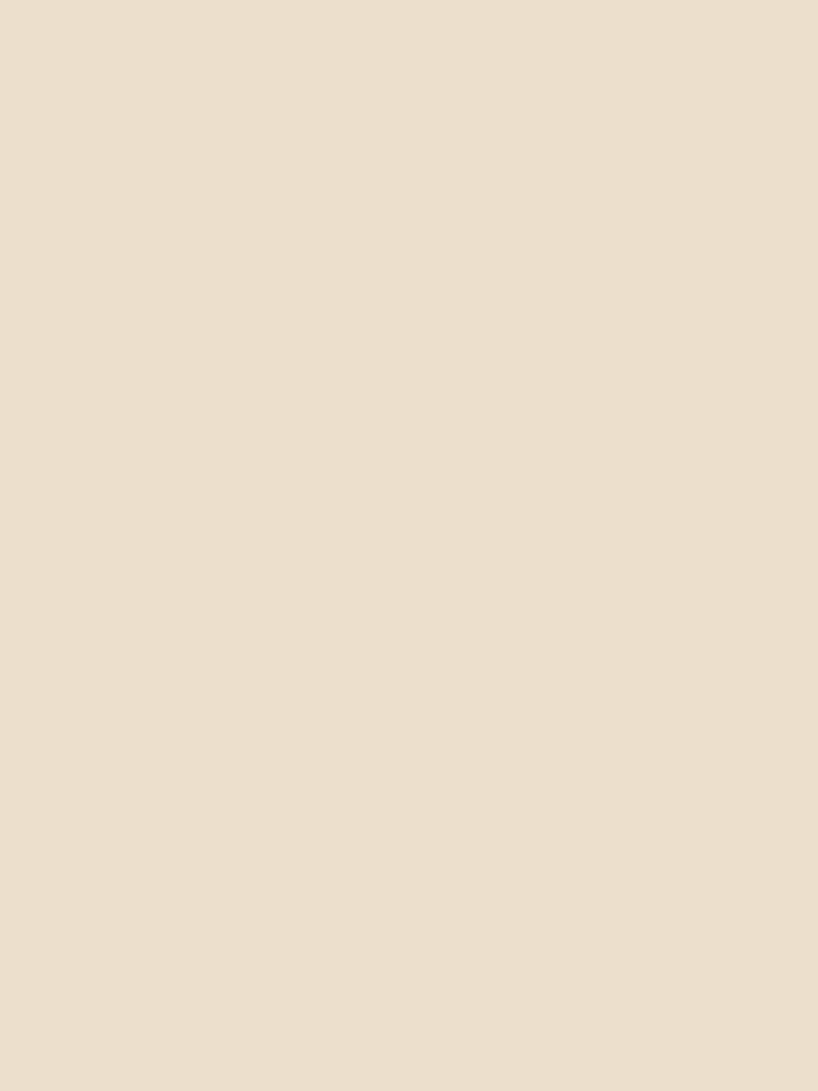 Plain Beige Sand by maniacfitness Unisex , , , Long Sleeve Tee