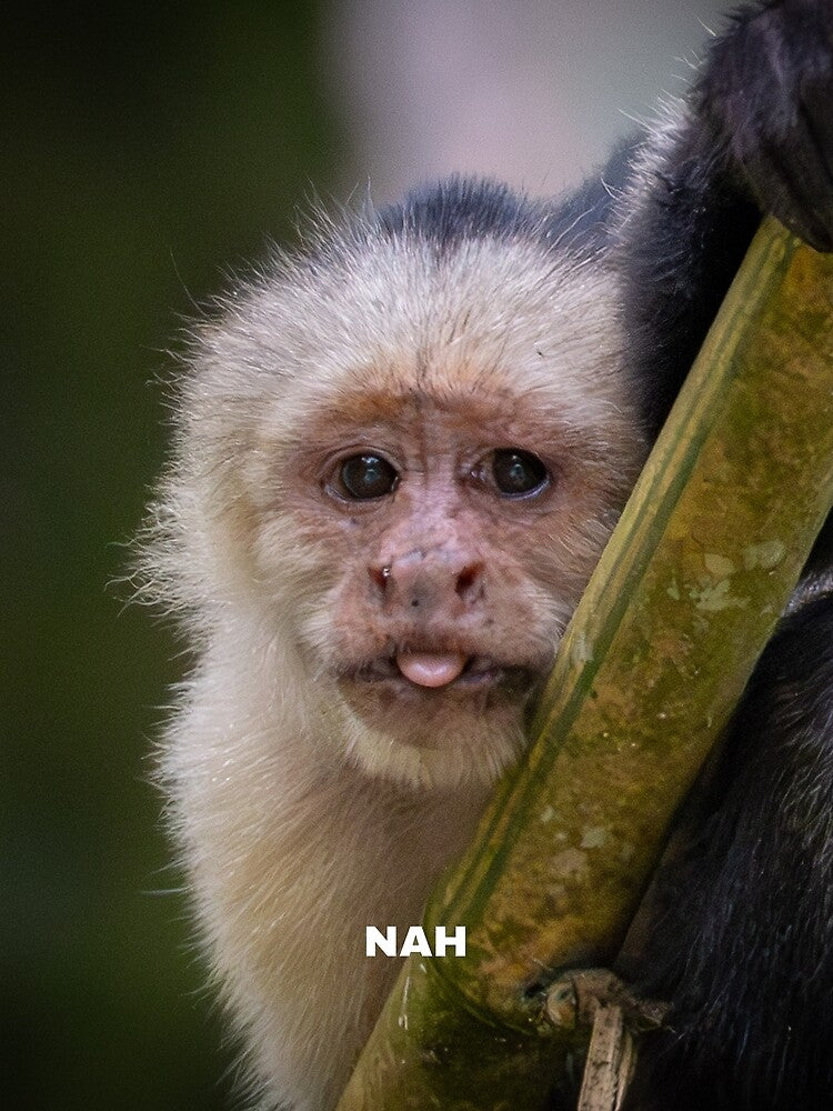 Nah Monkey Meme – Funny Sassy Reaction Animal by WildFrameNature Unisex , , , Long Sleeve Tee