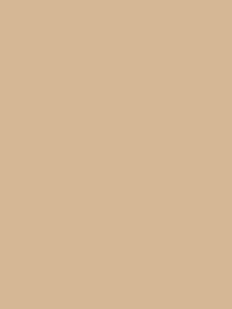 Plain Beige by maniacfitness Unisex , , , Long Sleeve Tee