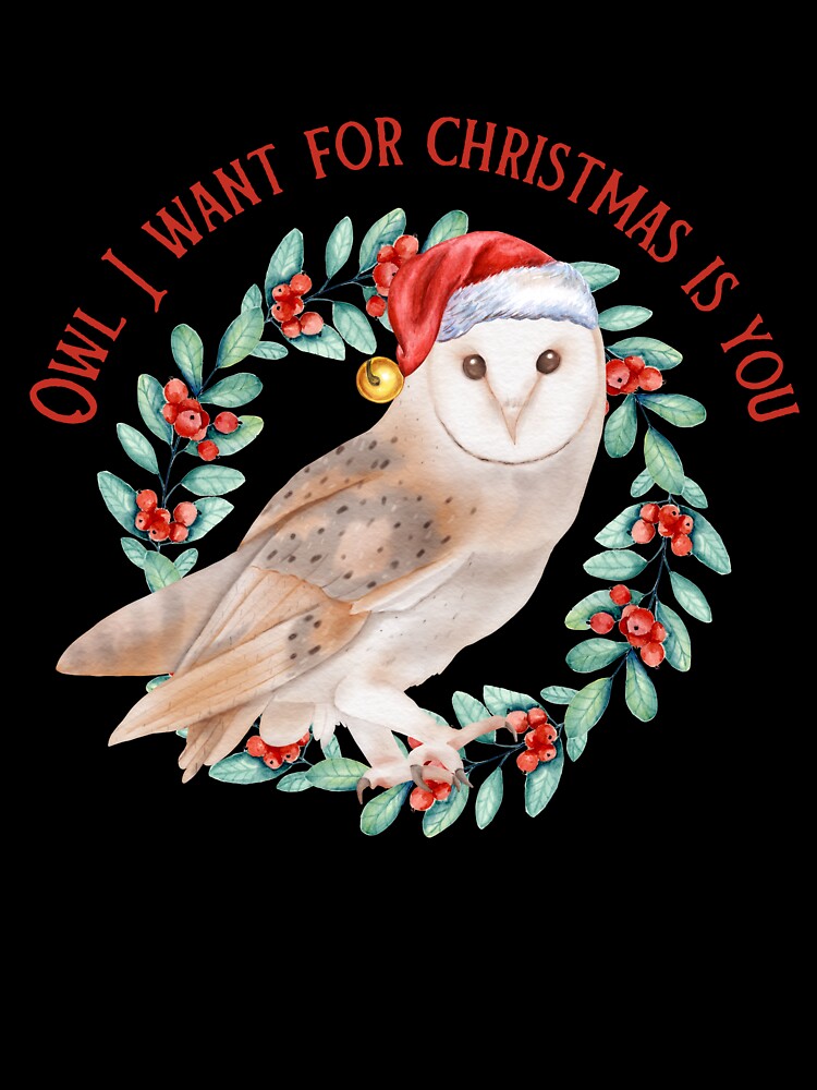 Owl I Want For Christmas Is You by TheFunDistrict Unisex , , , Long Sleeve Tee