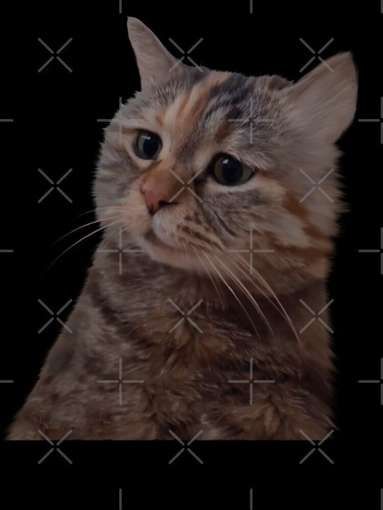 Sad kitty cat Meme by Prime_Store Unisex , , , Long Sleeve Tee