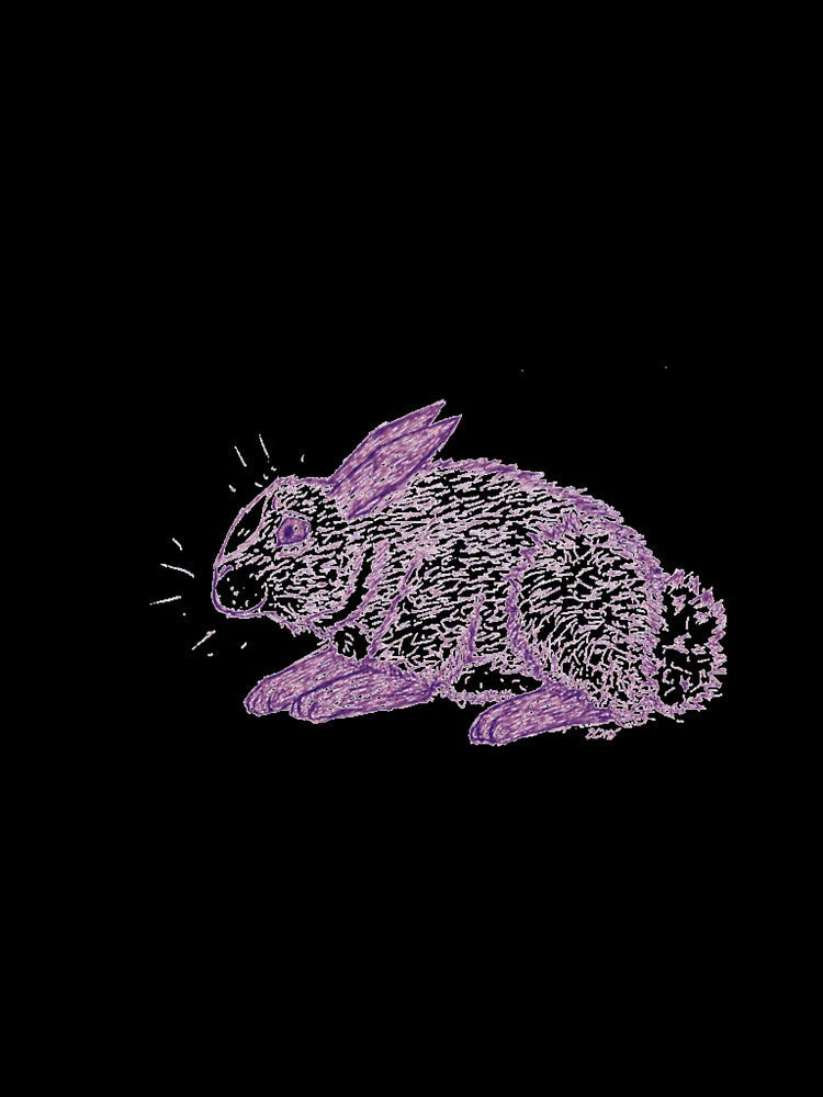 Purple Bunny Sketch by HIGraphicDesign Unisex , , , Long Sleeve Tee