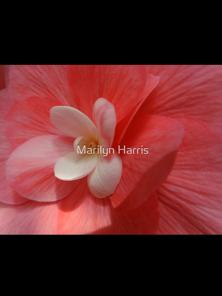 Begonia in Soft Shades of Red by Marilyn Harris Unisex , , , Long Sleeve Tee