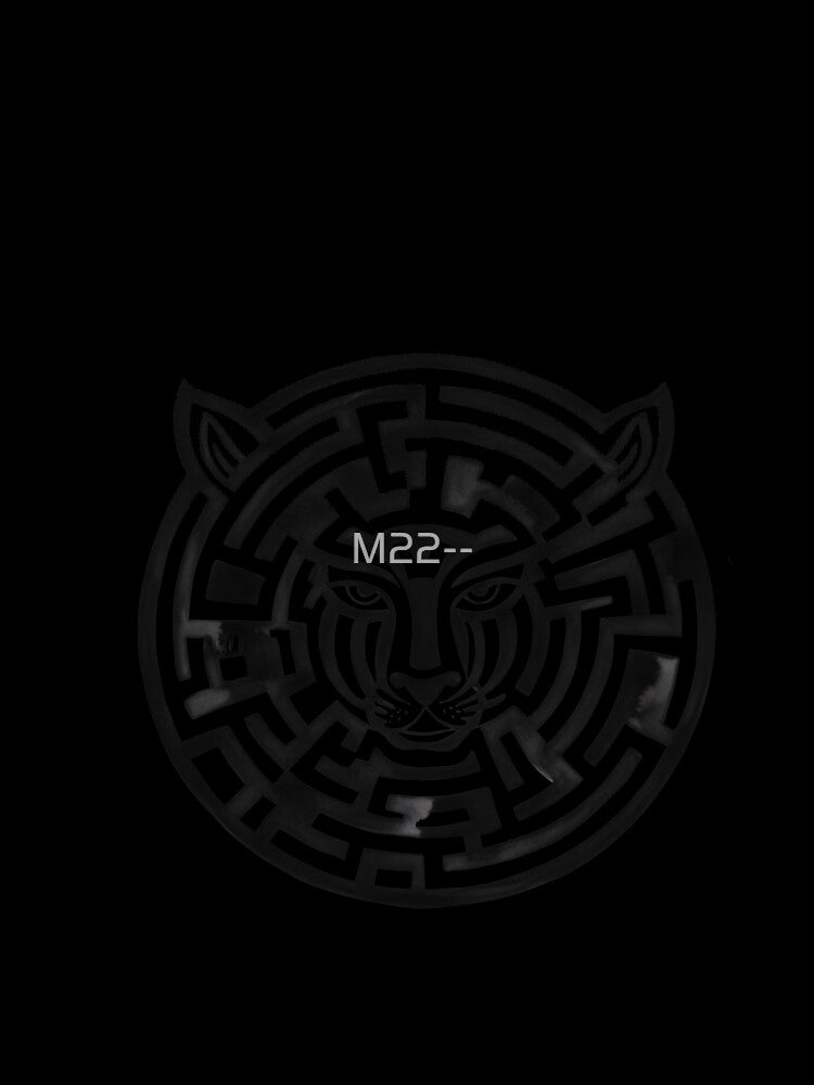 I am a Maze M22 by M22, Unisex , , , Long Sleeve Tee