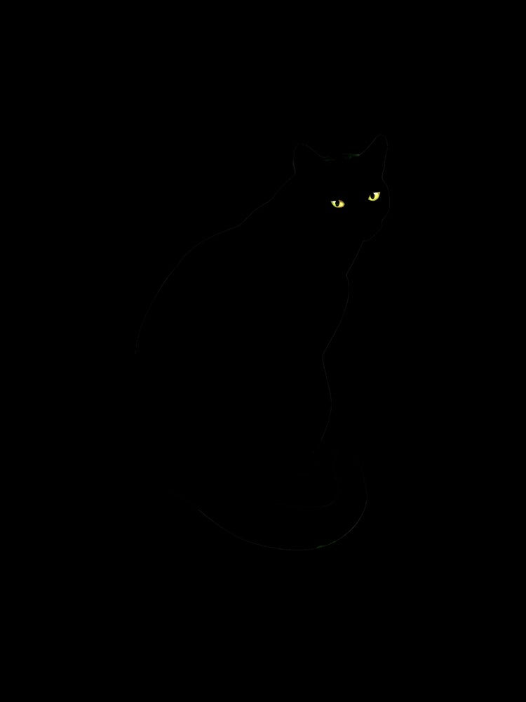 Basic Black Cat by Delfyn Studios Unisex , , , Long Sleeve Tee