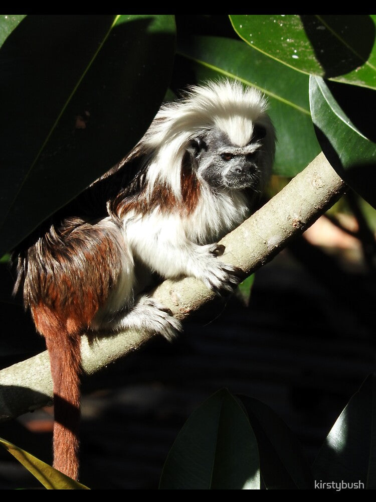 Cotton-top Tamarin by kirstybush Unisex , , , Long Sleeve Tee