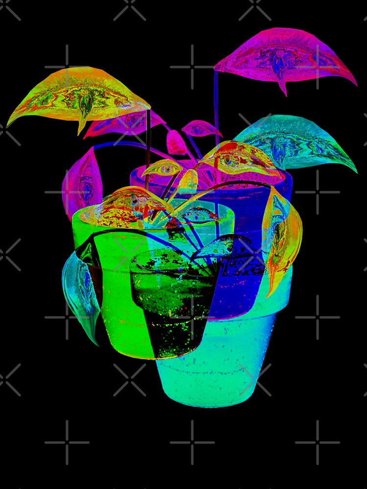 Psychedelic Flowers in a Pot by laczeekk