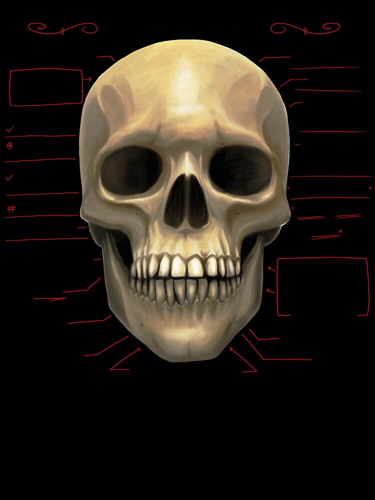 anatomy lesson (skull) by hayrpictures Unisex , , , Long Sleeve Tee