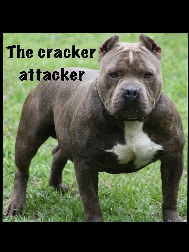 The cracker attacker by Funnymaybe Unisex , , , Long Sleeve Tee