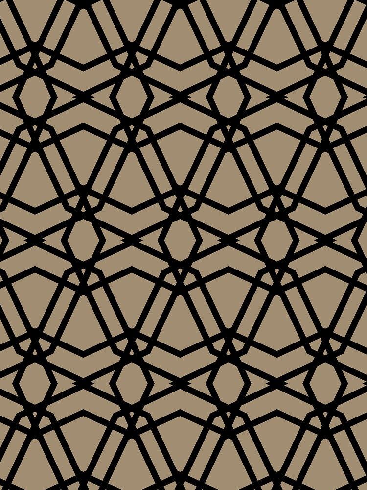 Black and Brown Line Geometric Pattern Pairs DE 2022 Trending Color Tuscan Mosaic DE6208 by ColorOfTheYears
