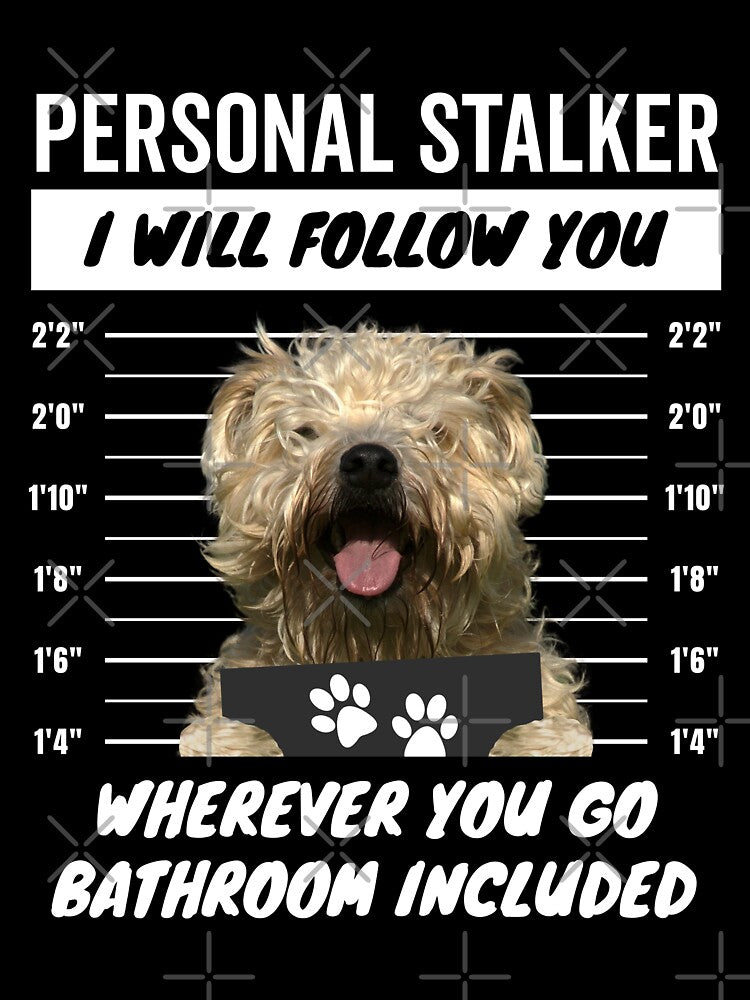 Personal Stalker Dog – Soft Coated Wheaten Terrier by More Cute Dogs