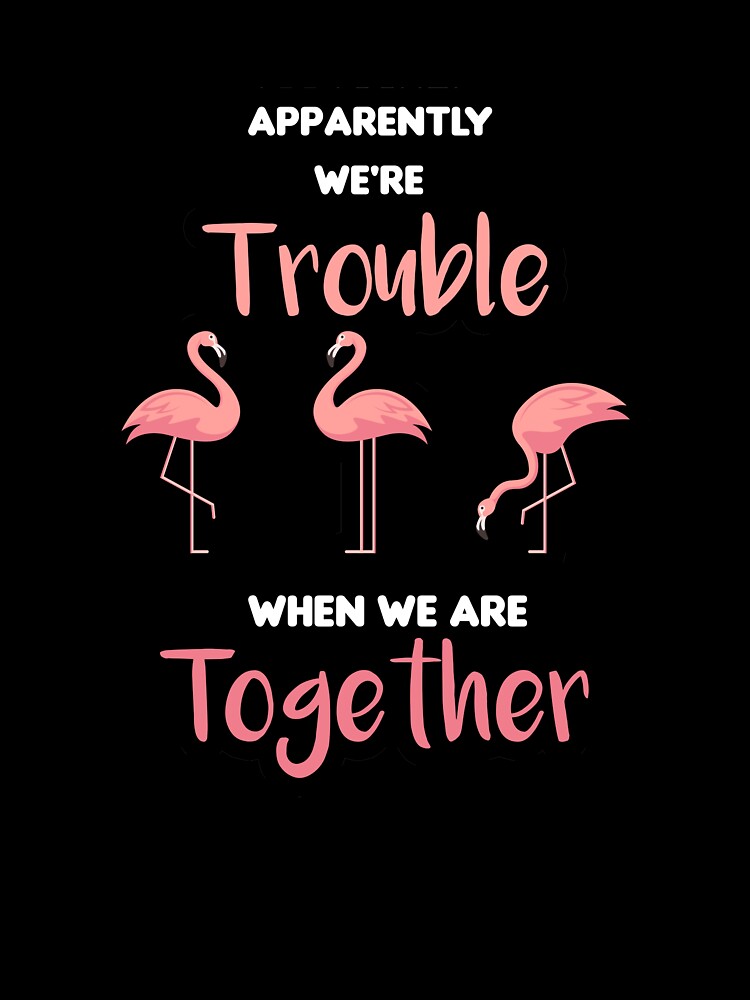 Apparently We're Trouble When We are Together Flamingo Ladies 'women gift gift for men and women by ANAS MAATI