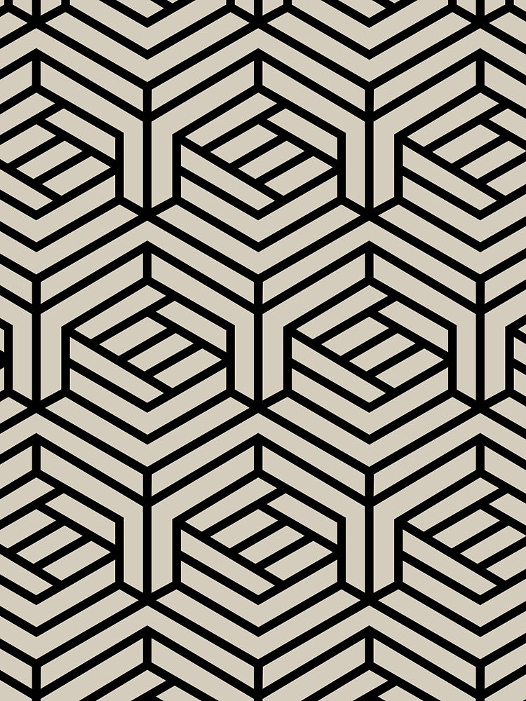 Black and Beige Cube Geometric Shape Pattern Pairs DE 2022 Trending Color Bay Salt DET642 by ColorOfTheYears